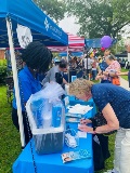 blueberry fest