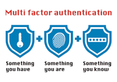 MFA-Article1 MFA-Article1