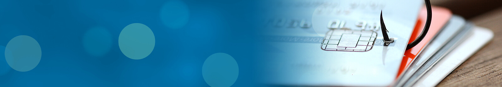 Natural Disaster<br />Phishing Scams